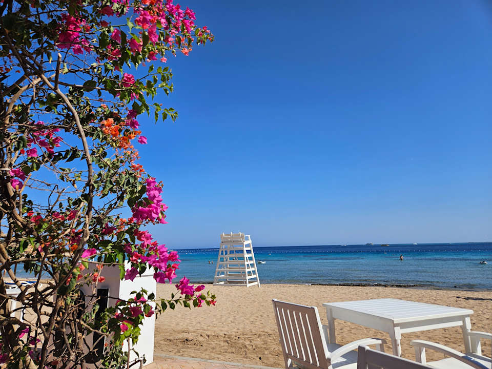 Gastro Fort Arabesque Resort, Spa & Villas