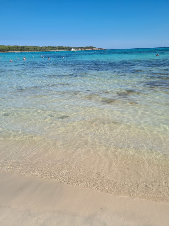 Strand Aparthotel Playa Dorada