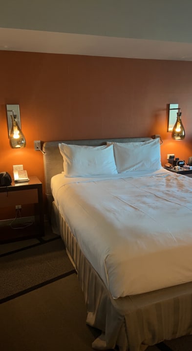 Zimmer Millennium Hilton New York One UN Plaza