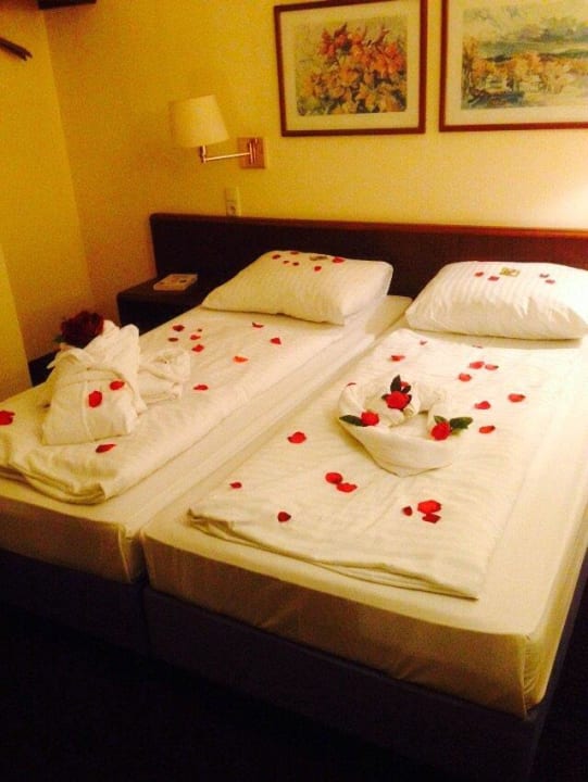 Rosenblüten Göbel's Seehotel Diemelsee