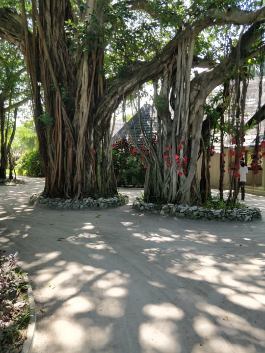 Lobby Adaaran Select Hudhuran Fushi - Premium All Inclusive