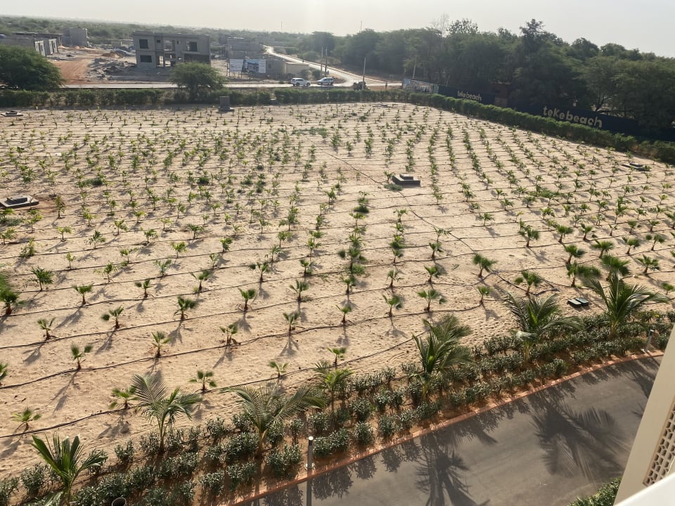 Ausblick Hotel Riu Baobab - All Inclusive