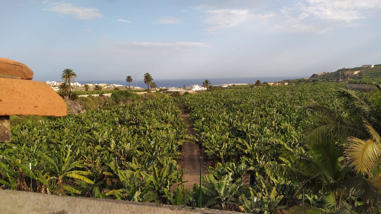 Gartenanlage Hotel Rural Hacienda del Buen Suceso