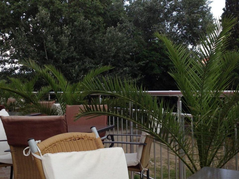 Bar Terrasse  Hotel Tia Maria