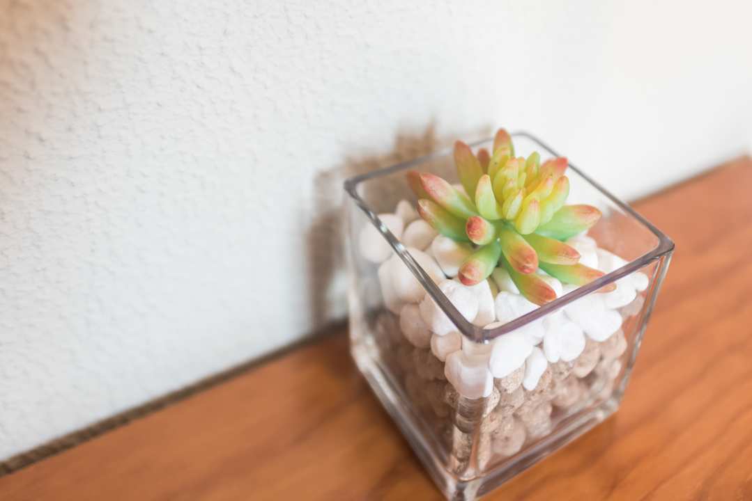 Zimmer Galicia Guesthouse