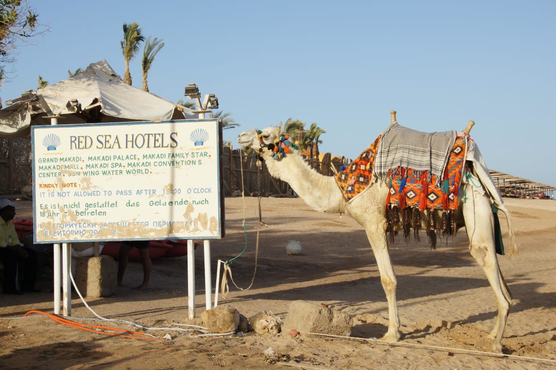 Strand Makadi Spa - Adults only