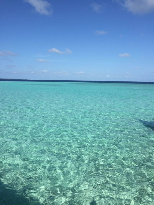 Kristallklares Wasser lädt zum Schnorcheln ein Veligandu Maldives Resort Island