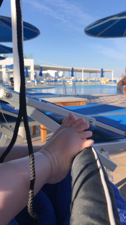 Pool Pickalbatros Palace Resort