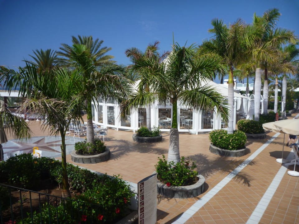 Restaurant Las Dunas Hotel Riu Palace Maspalomas Adults Only