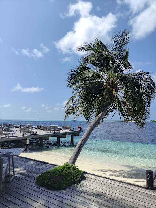 Gastro Vilamendhoo Island Resort & Spa