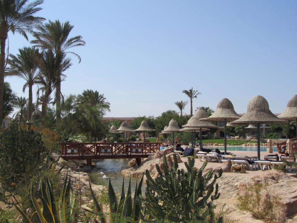 Hotel Radisson Blu Resort Parrotel Beach Resort