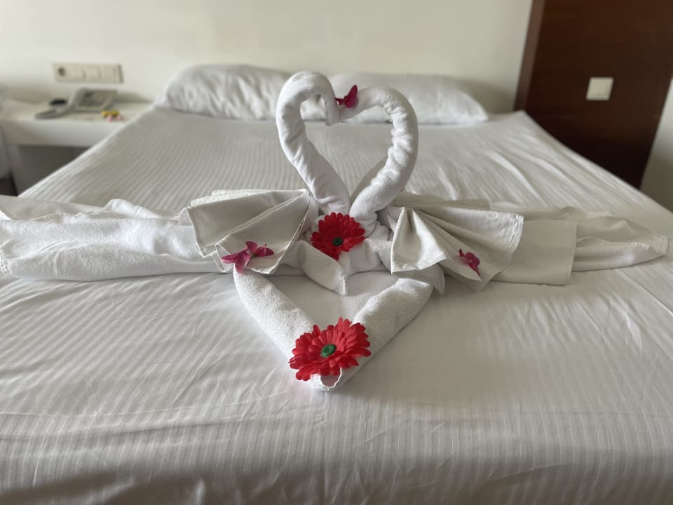 Zimmer Seaden Sea World Resort & Spa