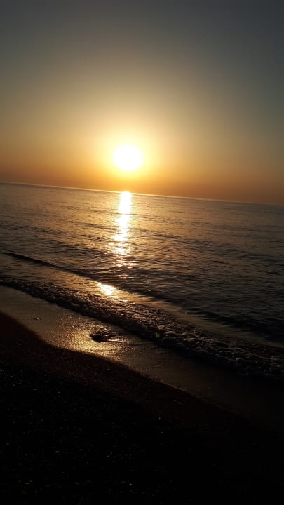 Strand Aleria Belport Beach Hotel