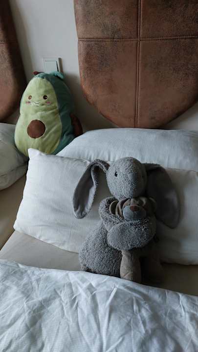 Zimmer Hasseröder Burghotel