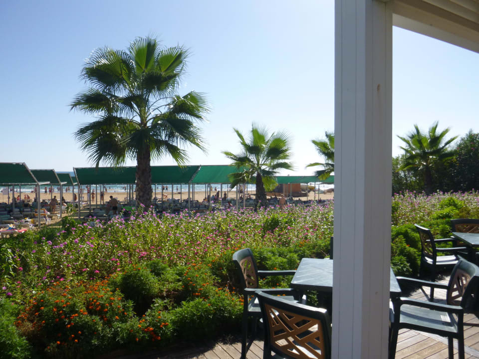 Aussicht von Strandbar an den Strand VONRESORT Golden Beach