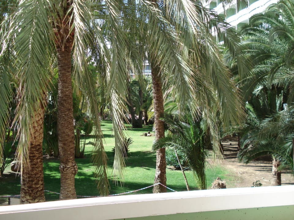 Balkon Ausblick Abora Buenaventura by Lopesan Hotels