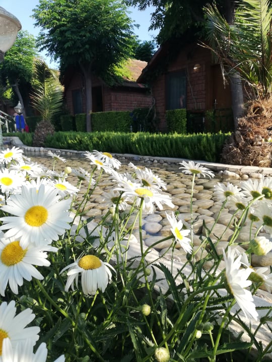 Gartenanlage Can Garden Beach