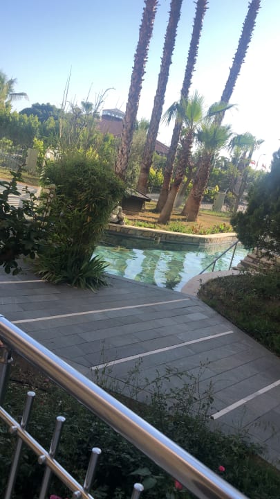 Ausblick Club Grand Aqua