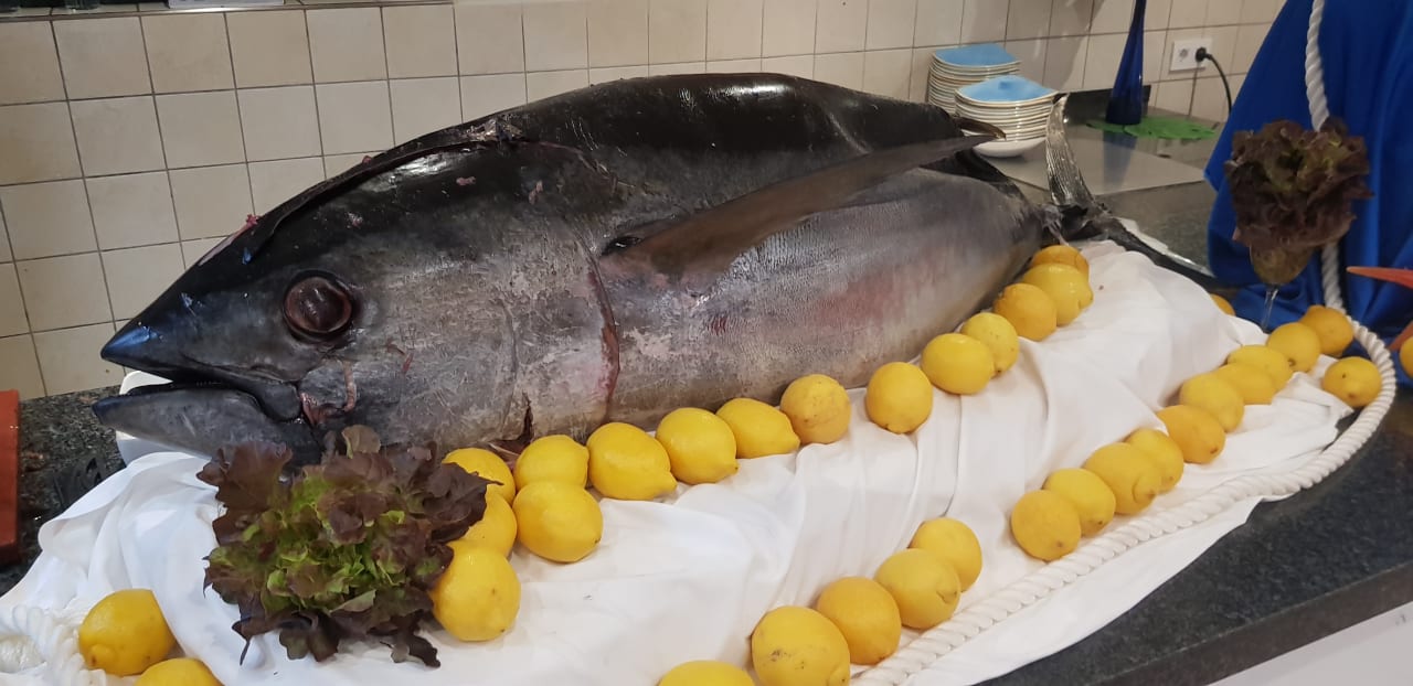 Gastro Aldiana Club Fuerteventura
