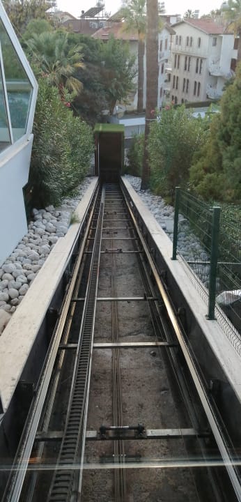 Gartenanlage Side Star Elegance