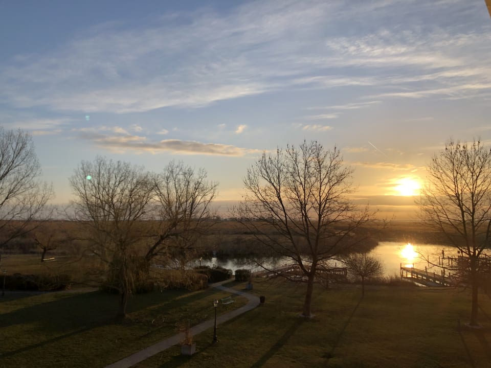 Ausblick Seehotel Rust