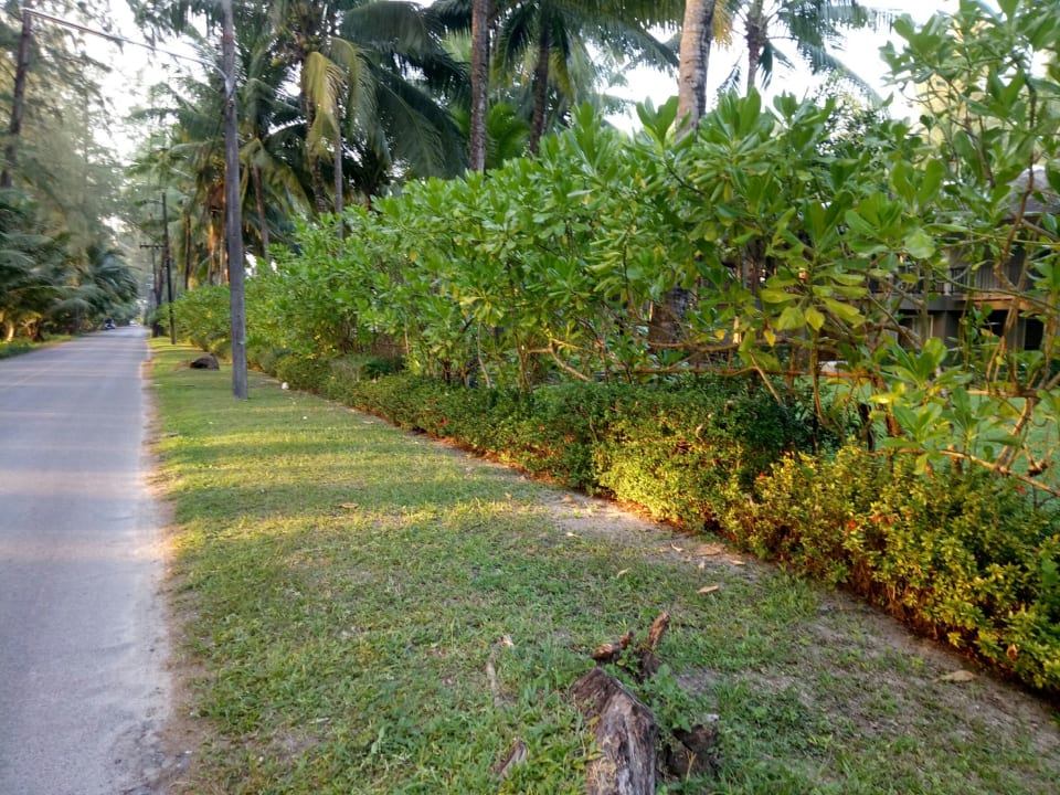 Sonstiges The Grand Southsea Khaolak Beach Resort