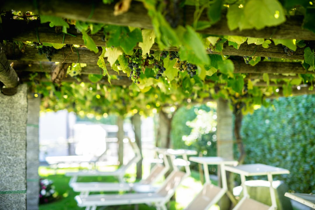 Gartenanlage Ascona Lodge, Pool & Garden Retreat