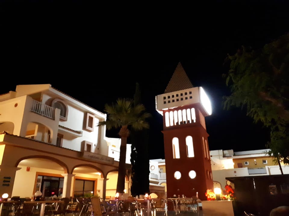 Sonstiges blau punta reina