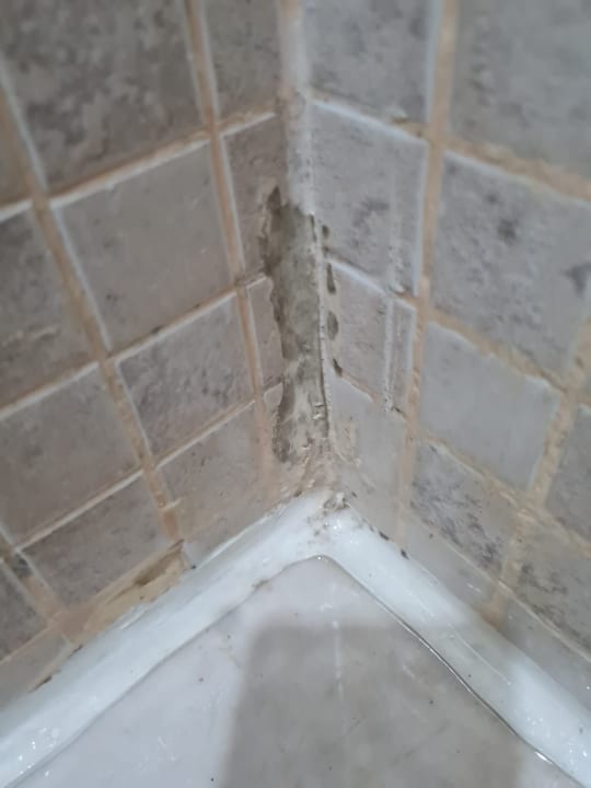 Zimmer Marvida Family Eco