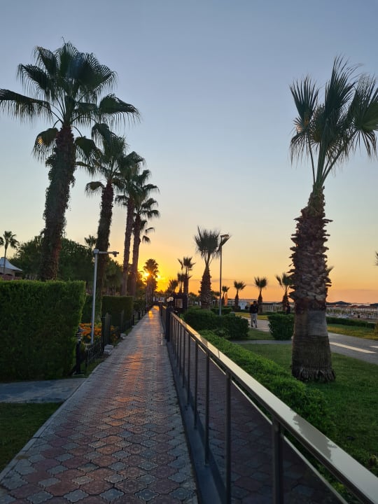 Gartenanlage Kamelya Collection Selin Hotel