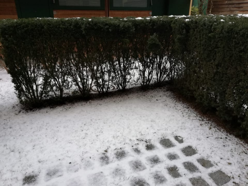 Gartenanlage SportScheck Hotel