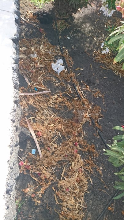 Gartenanlage Relaxia Olivina