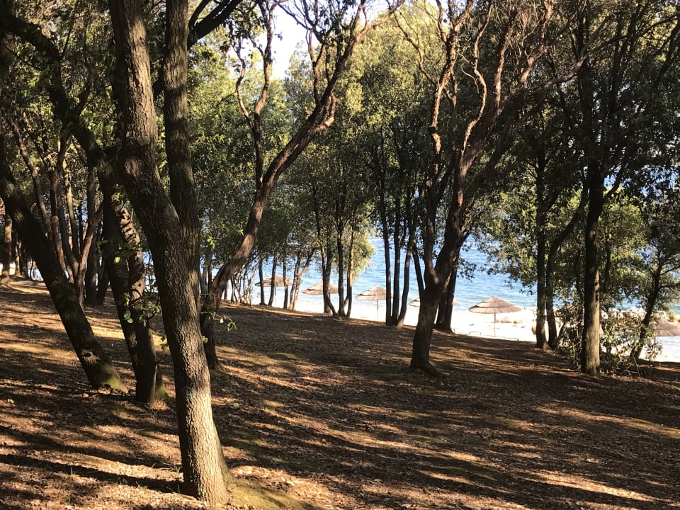 Gartenanlage Valamar Tamaris Hotel