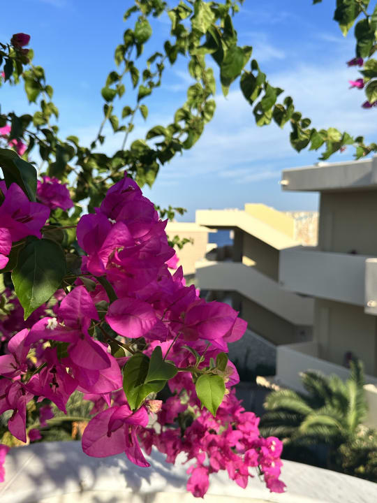 Außenansicht Hotel Kalithea Horizon Royal