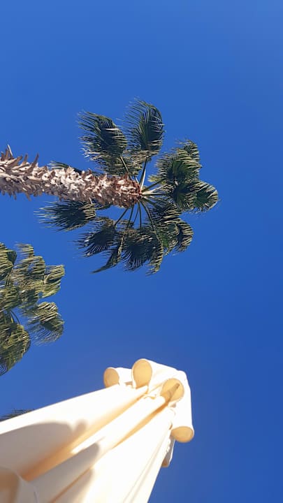 Ausblick Dream Family Club