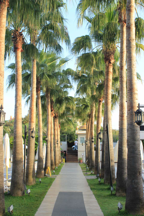 Gartenanlage Castival Hotel