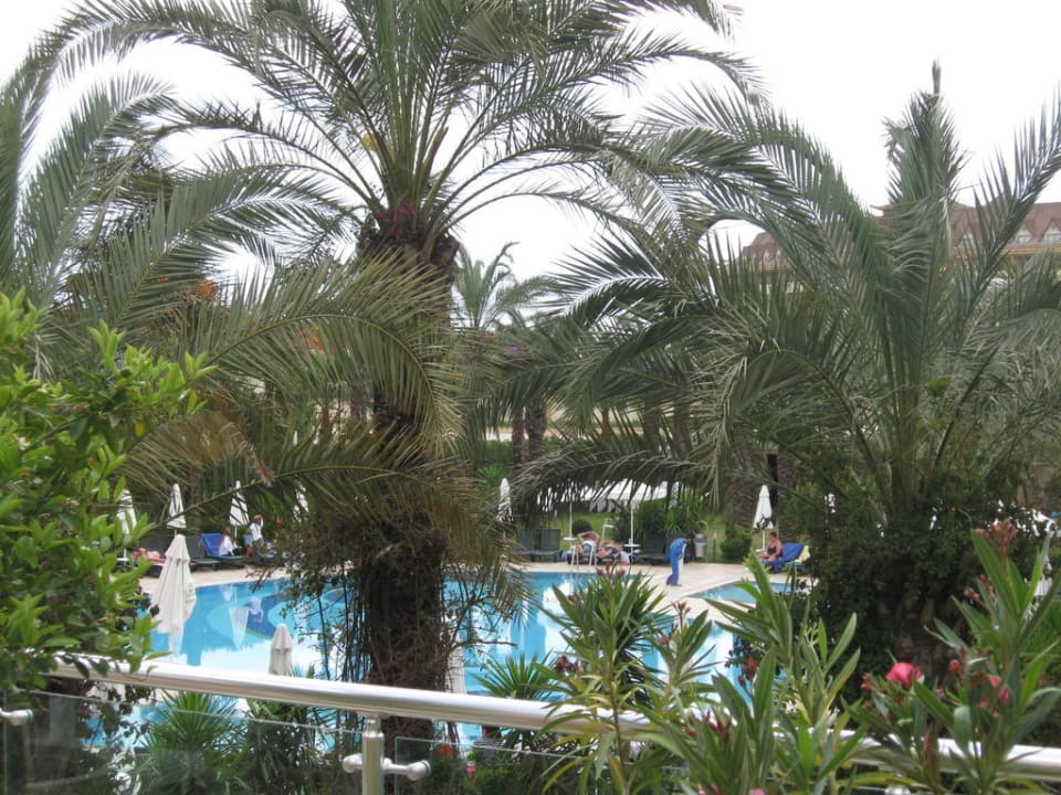 Außenansicht Calimera Hane Garden