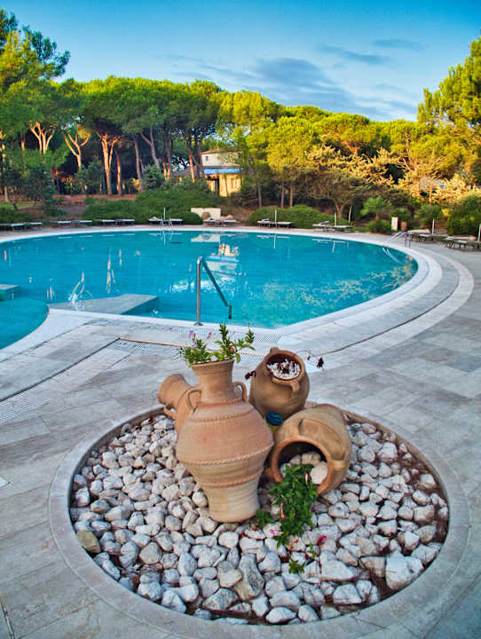 Pool Is Arenas Resort