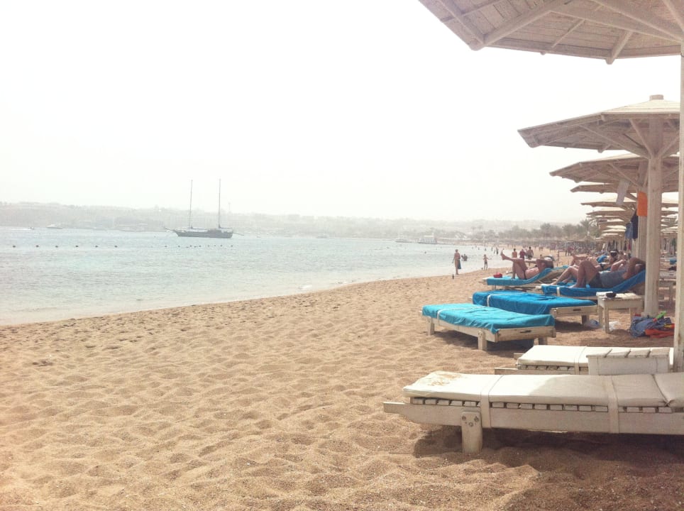 Strand mit bequemen Liegen Novotel Sharm El Sheikh