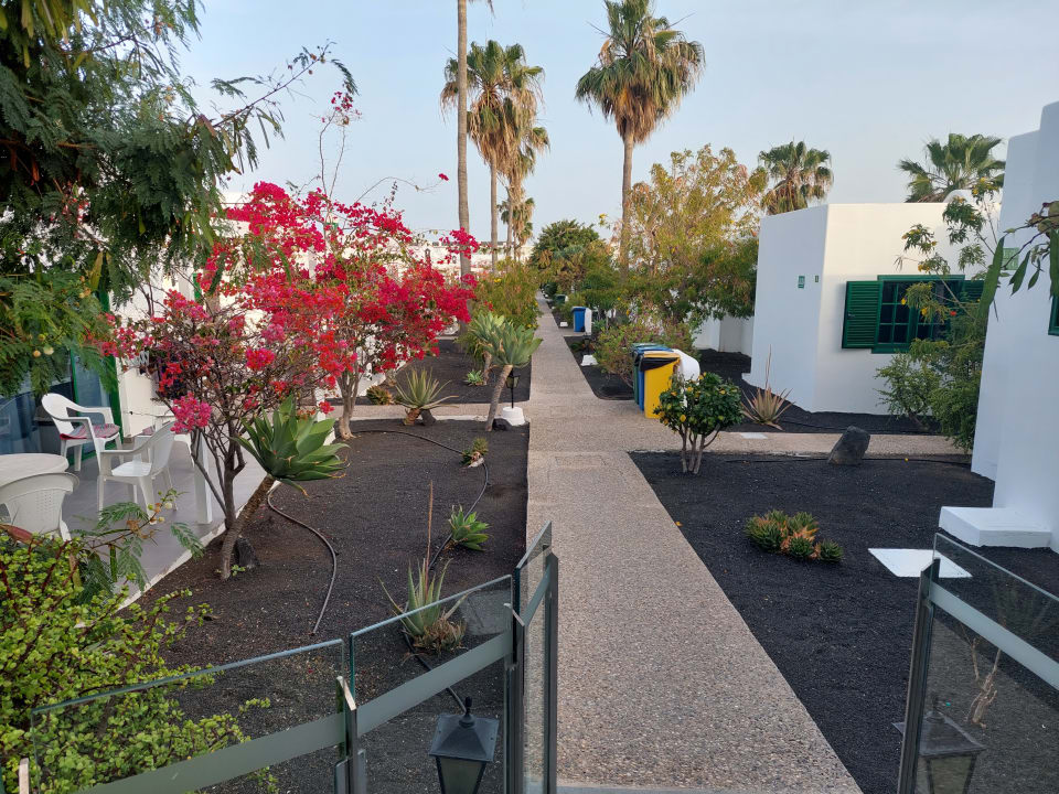 Gartenanlage Hotel Hyde Park Lane