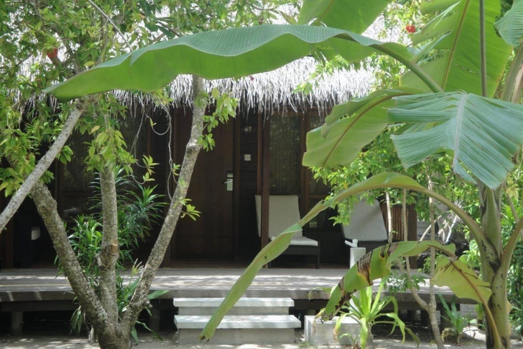 Beachvilla Kuramathi Maldives