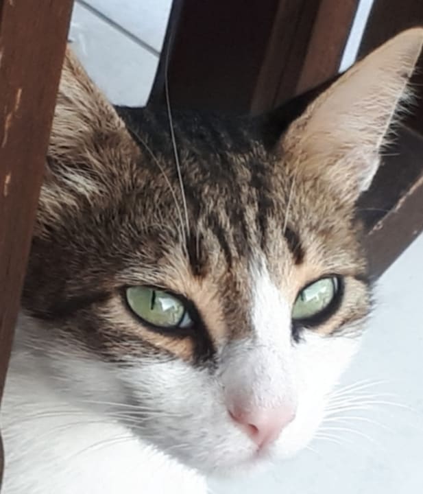 Sonstiges Hotel Golden Sun