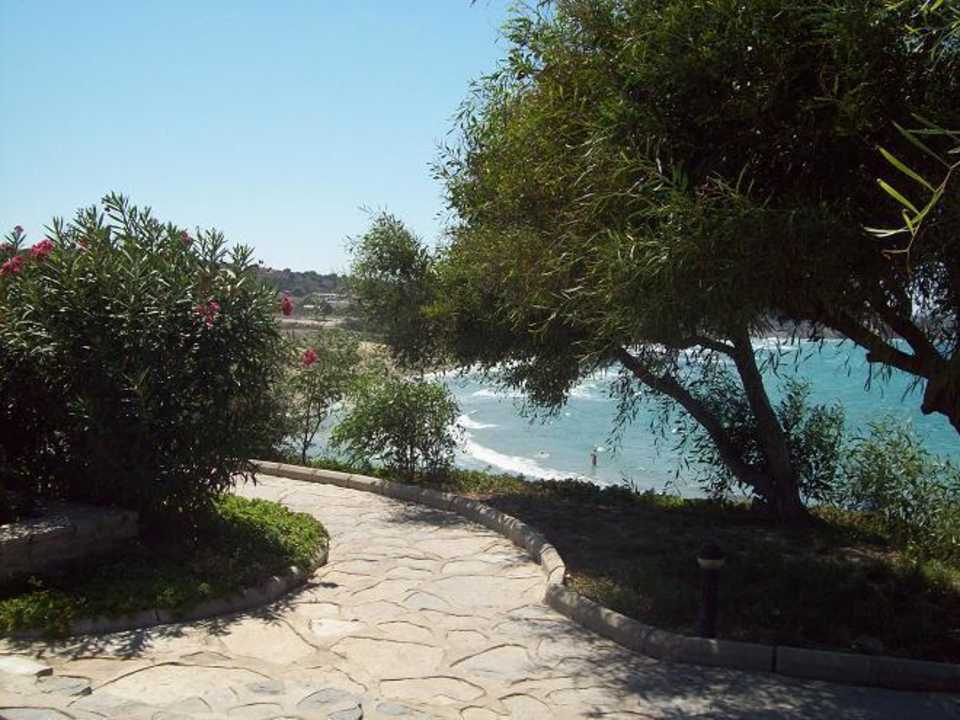 Widok z ogrodu na plażę Hotel Babaylon