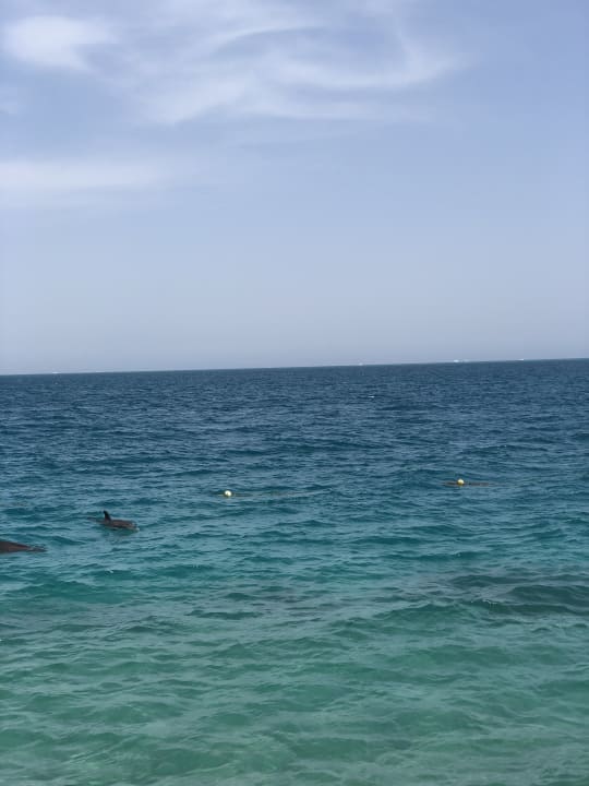 Strand Palm Beach Resort