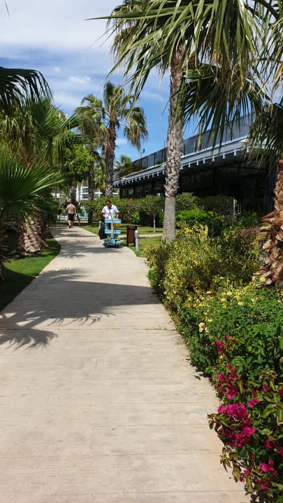 Gartenanlage Saturn Palace Resort Hotel