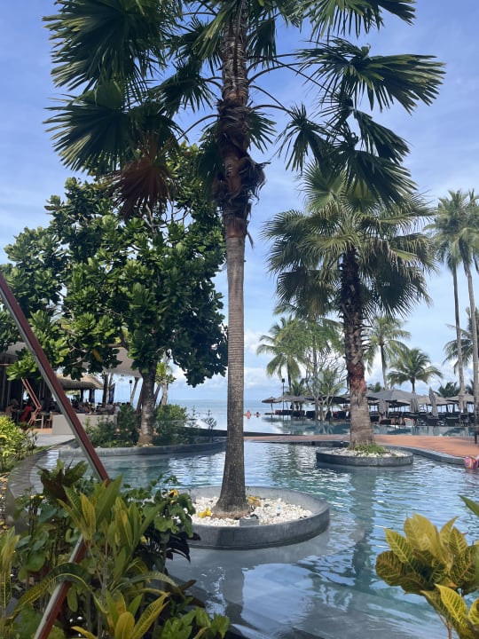 Pool La Flora Khao Lak