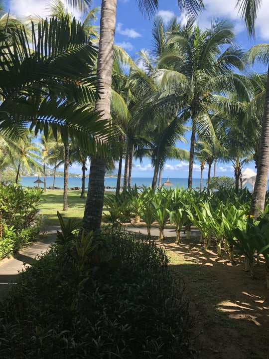 Gartenanlage Sands Suites Resort & Spa