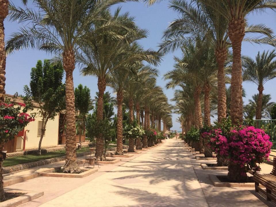 Территория отеля Riviera Aqua Park Resort