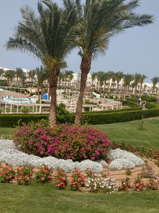 Gartenanlage Hotel JAZ Makadi Star & Spa