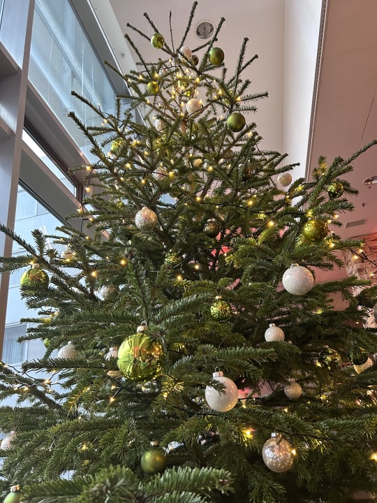 Gartenanlage Hotel Tulip Inn Düsseldorf Arena